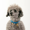 Dandy Street - shop online - accessori per cani e gatti - collane per cani e gatti -Accessori eleganti per animali domestici - Laika