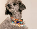 Dandy Street - shop online - collane per cani e gatti