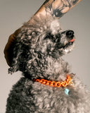 Dandy Street - shop online accessori per cani e gatti - collane di tendenza per cani e gatti