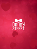 Dandy Street - vendita online gioielli e accessori da uomo - San Valentino