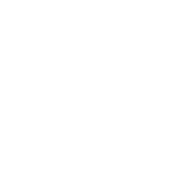 Dandy Street - shop online - accessori uomo - il brand - handmade in Italy - logo