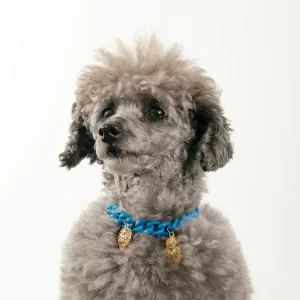 Dandy Street - shop online - accessori per cani e gatti - collane per cani e gatti -Accessori eleganti per animali domestici - Laika