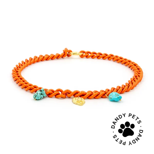 Dandy Street - shop online - accessori per cani e gatti - collane per cani e gatti - collana per animali - Asha