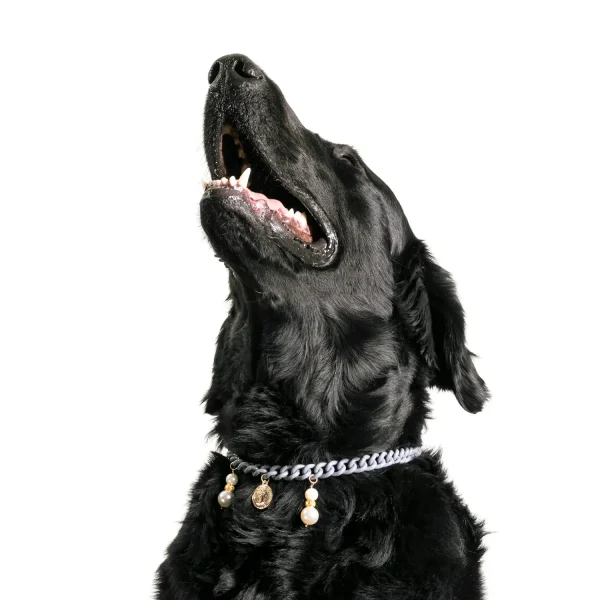Dandy Street - shop online - accessori per cani e gatti - collane per cani e gatti - collana per cani grandi - Rum