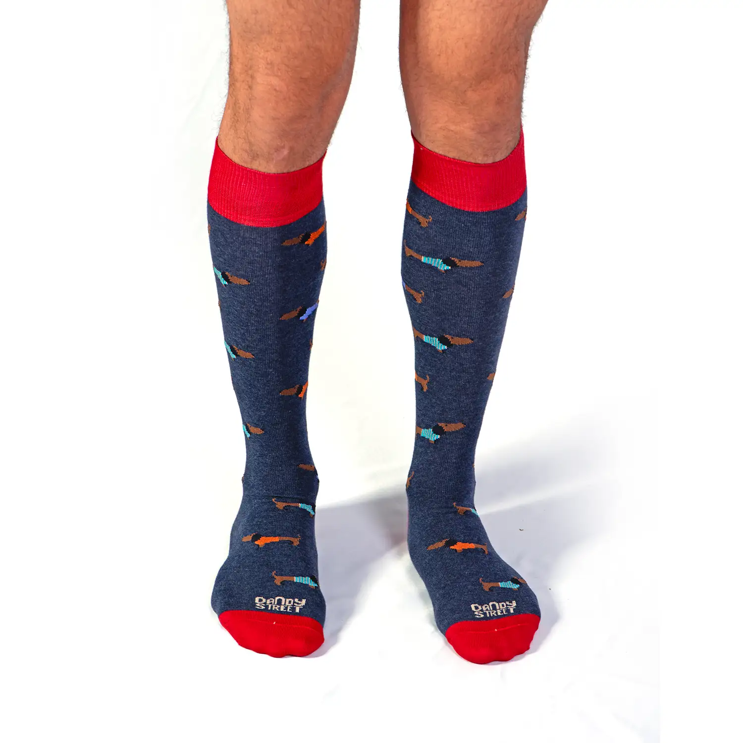 Dandy Street - shop online - accessori uomo calzini uomo cotone - calzini in cotone con bassotti ricamati - Dandy Dog Noisette Dandy Street - shop online - accessori uomo calzini uomo cotone - calzini in cotone con bassotti ricamati - Dandy Dog Noisette