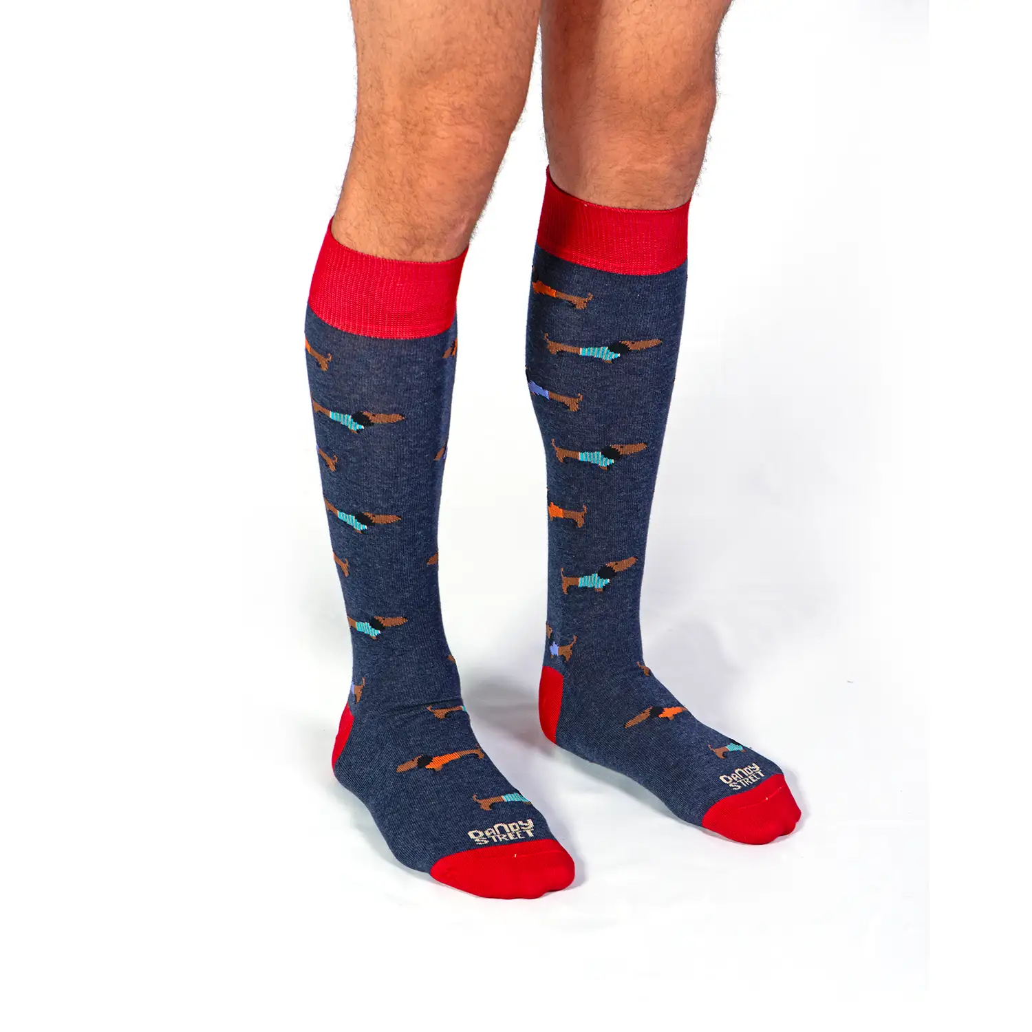 Dandy Street - shop online - accessori uomo calzini uomo cotone - calzini in cotone con bassotti ricamati - Dandy Dog Noisette Dandy Street - shop online - accessori uomo calzini uomo cotone - calzini in cotone con bassotti ricamati - Dandy Dog Noisette